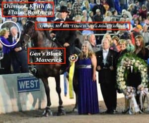 Abused TWH horse winning event