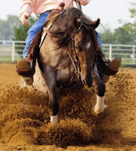 reining horse sliding on arena