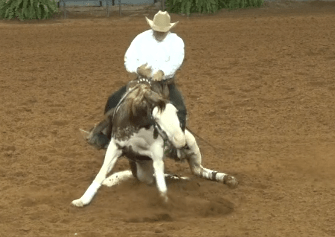 reining horse loses balance showing signs of being drugged