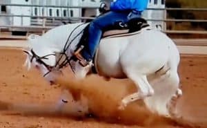Reining horse trainer intimidating horse during stop maneuver