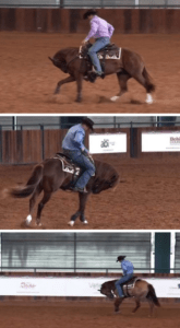 reining horse trainer clinton anderson being excessively forceful on young horse