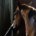 Horse looking out stall bars waiting for NRHA member
