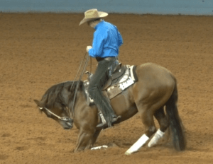 reining horse collapses on ground after being trained in Running W designed to pull their legs out from under them