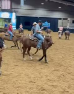 a reining horse being dictated to by the rider
