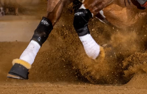 Reiners Test Positive showing a reining horse in action