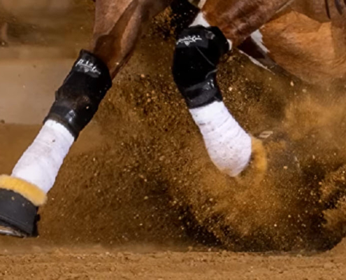 Reiners Test Positive showing a reining horse in action