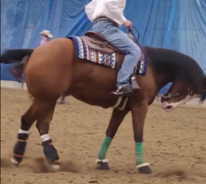 example of abusive riding of reining horse at Equialyon 2025