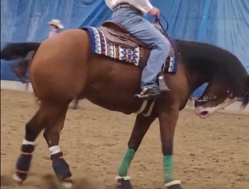 example of abusive riding of reining horse at Equialyon 2025