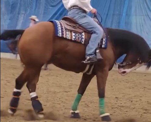 example of abusive riding of reining horse at Equialyon 2025