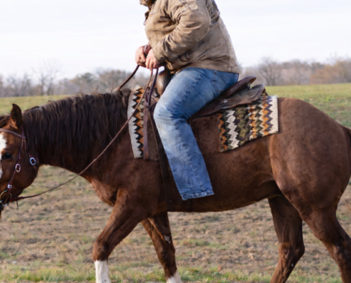 Overweight Rider on reining horse training