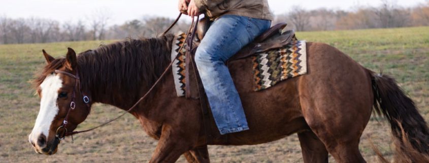 Overweight Rider on reining horse training