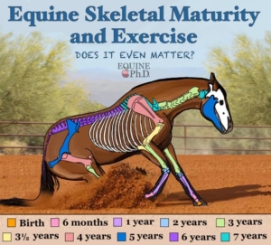 Scientific Evidence of Starting Horses Too Young